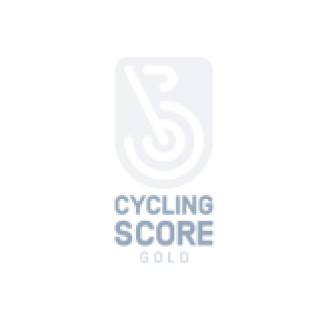 Logo Cycling Score gold